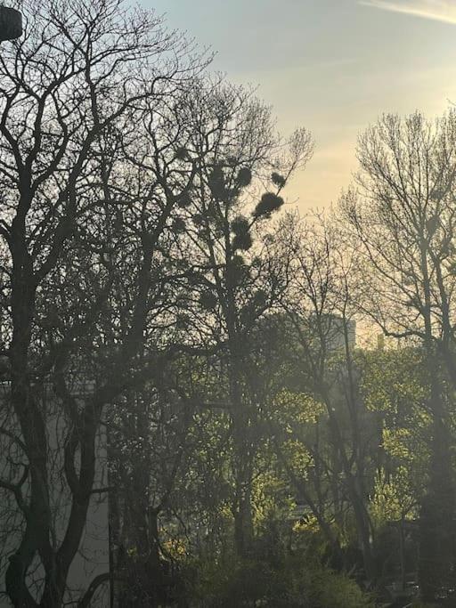 Stilvolles Augarten Refugium Appartement Vienne